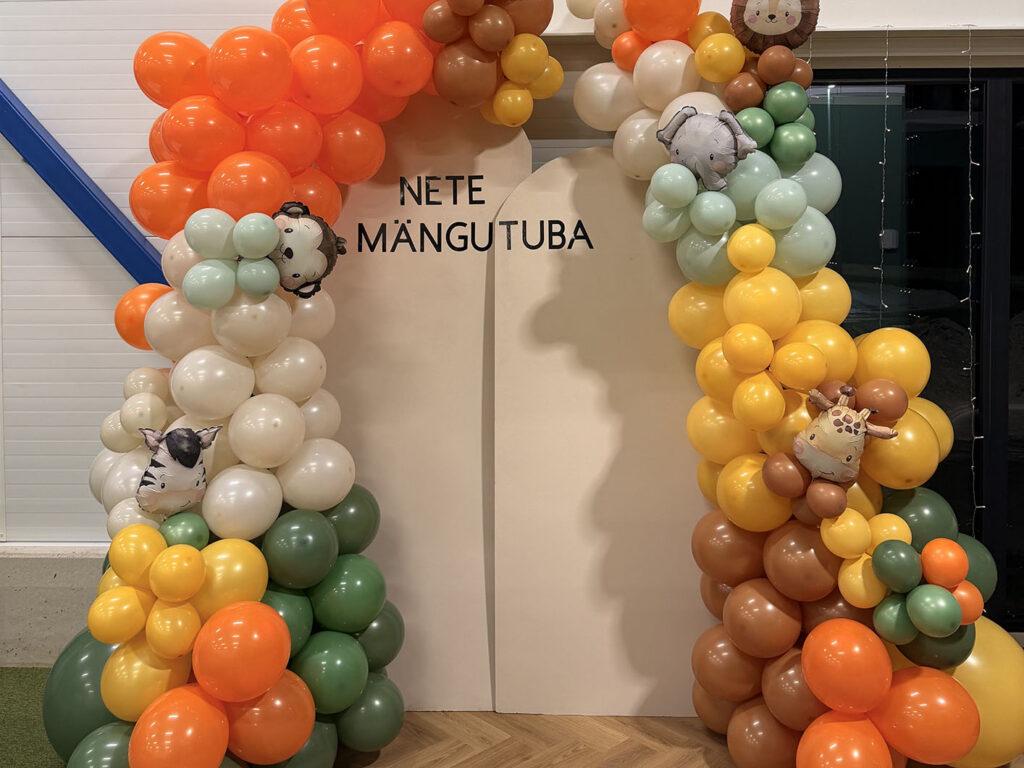 Nete mängutuba fotosein õhupallidega